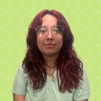 The avatar of Lina