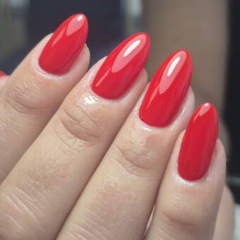 The avatar of ✨️Marielis