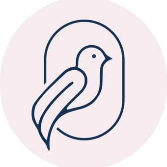 Avatar LIttle Pigeon
