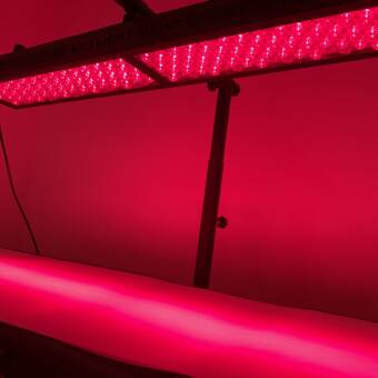 Awatar – Red Light