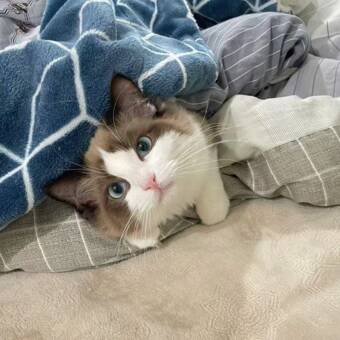 The avatar of Shirley