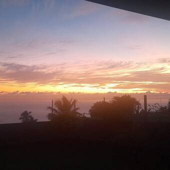 The avatar of Cindie