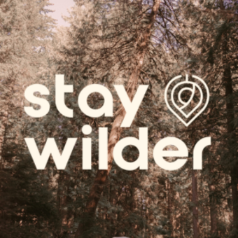 The avatar of Stay Wilder