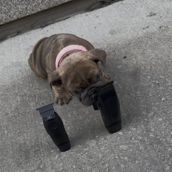 的化身 Sans rendez vous / walk in