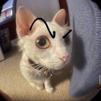 The avatar of Ευανθουλα