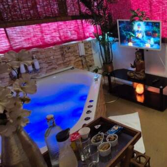 的化身 Sala SH P1