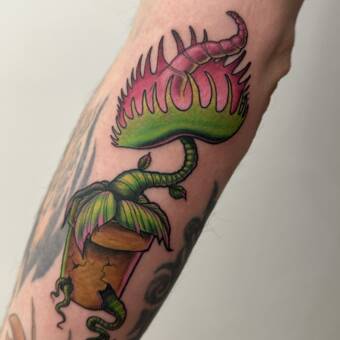 Avataren til Ashleigh