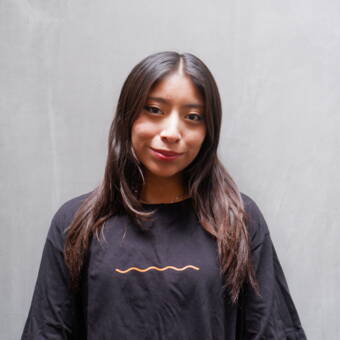 Valeriapseudoportretas