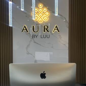 的化身 Aura