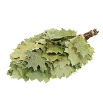 De avatar van Sauna 5