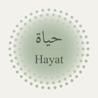 Το avatar του حياة | Hayat