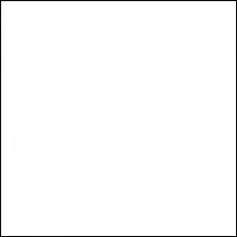 The avatar of Anastasia