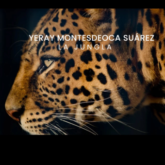 Avatar tilhørende Yeray