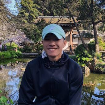 Vincentpseudoportretas