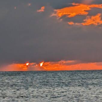 L'avatar di Victoria