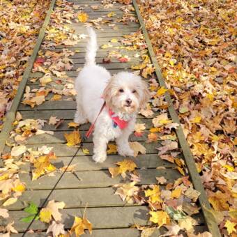 Avatar tillhörande Sarah