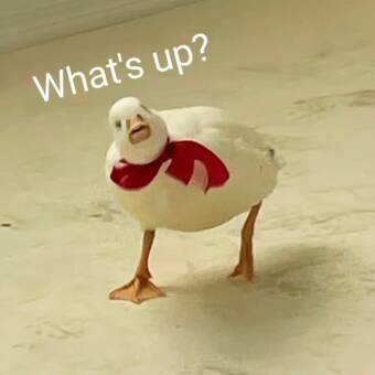 Henkilön 十二 avatar