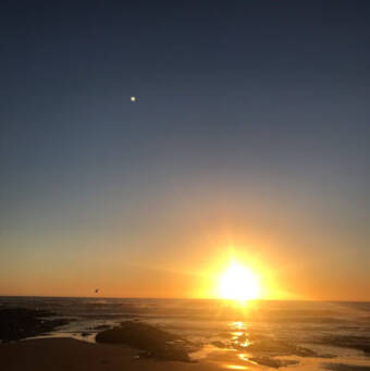 De avatar van Thi Phuong 