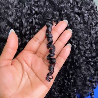 The avatar of Follicle