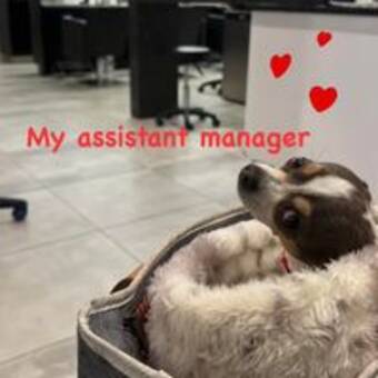 Το avatar του Audrey