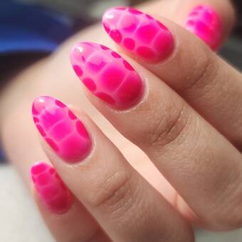 The avatar of ✨️Francis