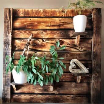 De avatar van Kristen