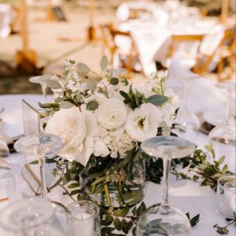 الصورة الرمزية لـ Sonia