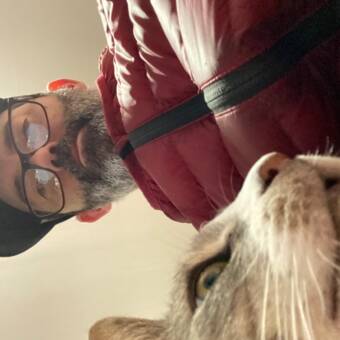 Rhaanpseudoportretas