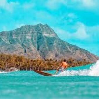 The avatar of Groomer Waikiki