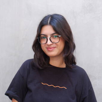 Brithannypseudoportretas