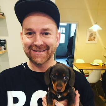 The avatar of Stevie