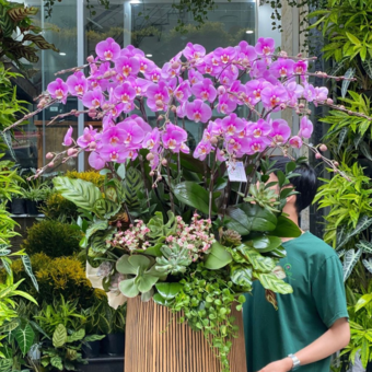 Avatar tillhörande Steven