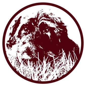 Avataren til Stephen