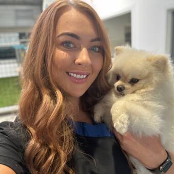 The avatar of Shannon