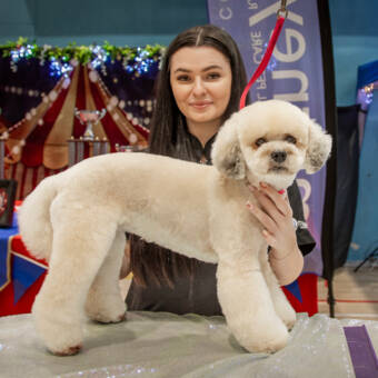 The avatar of Rachel 