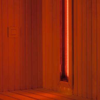 The avatar of Sauna 1