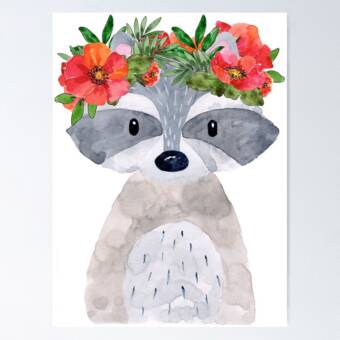 The avatar of Raccoon