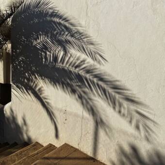 The avatar of Marie-Eve