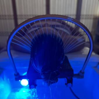 Avatar tillhörande Japanese Head Spa