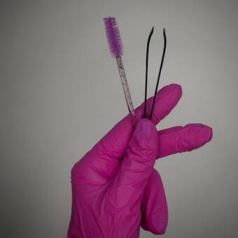 The avatar of Claudia