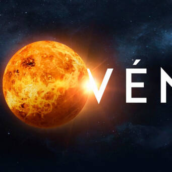 L'avatar appartenant à Venus