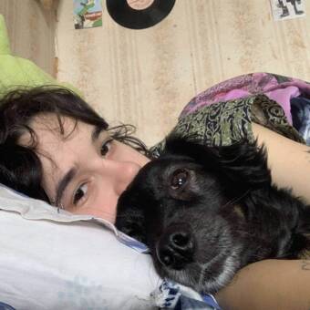 The avatar of სოფა