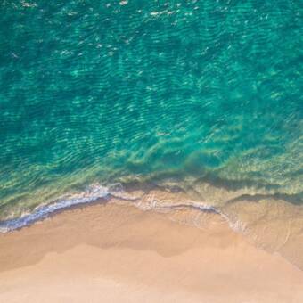 อวตารของ WAVE