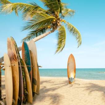 อวตารของ SURF