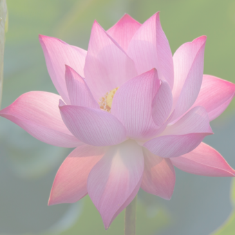 The avatar of Melada