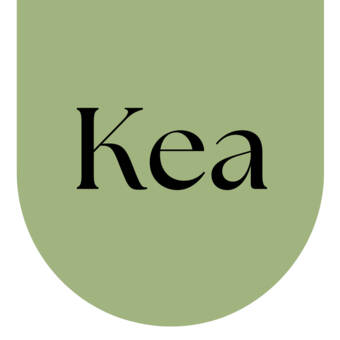 The avatar of Kea