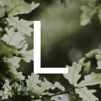 The avatar of Louise