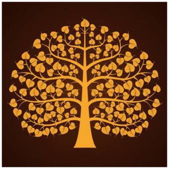 The avatar of Male Remedial Therpist