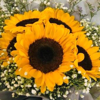 Awatar – Merit Spa