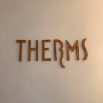 The avatar of Therms SPA